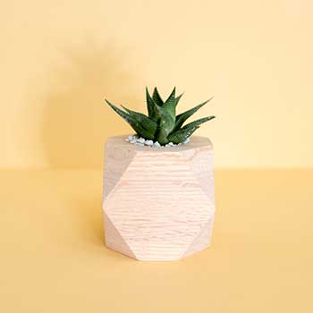 小七短信在线网页轰炸